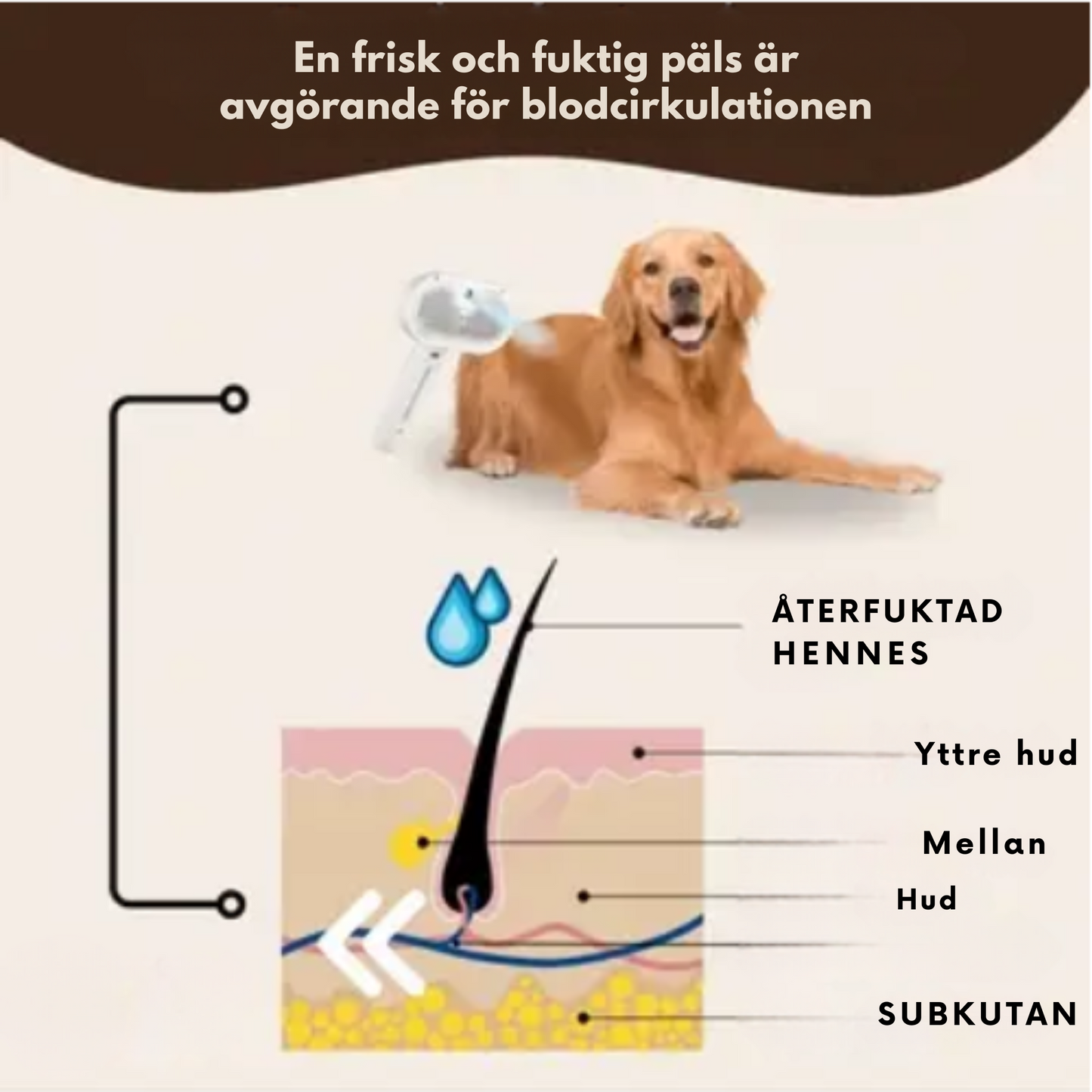 Silkepels® Steami Pro | Professionell pälsvårdsborste för husdjur