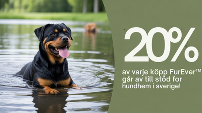 FurEver™ | Halsband med hundhänge