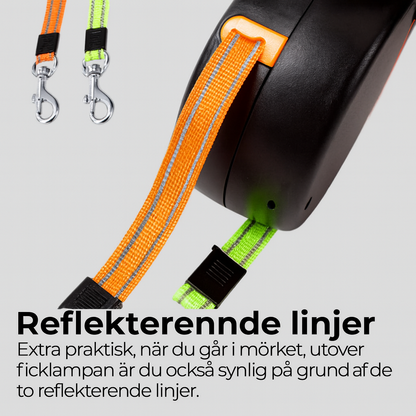 TassStig™ – Att rasta din hund har aldrig varit enklare!