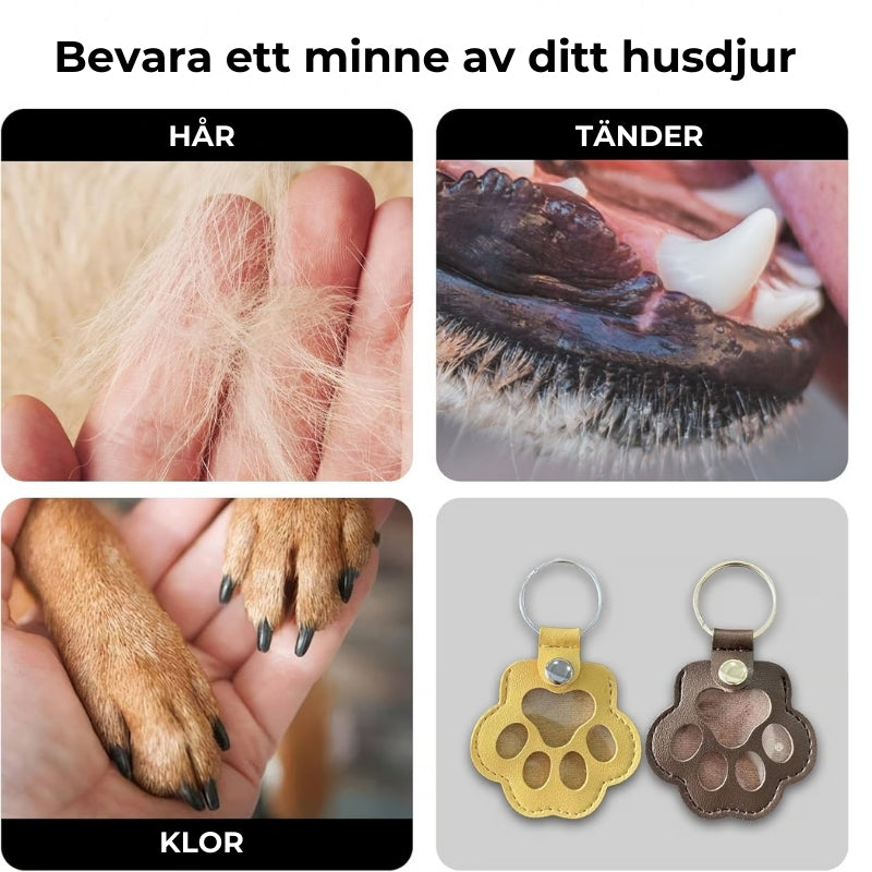 Minnessmycke™ – 🐾 Bär ditt husdjurs minne med dig, var du än går