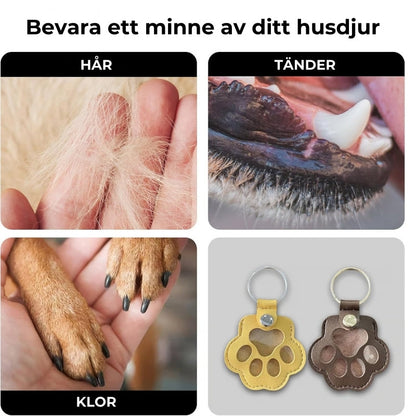Minnessmycke™ – 🐾 Bär ditt husdjurs minne med dig, var du än går