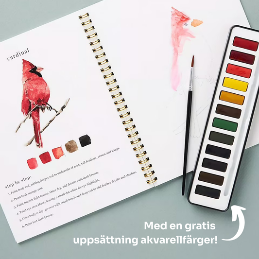 Färgström™ | Tänd din kreativitet med vår inspirerande akvarellarbetsbok!